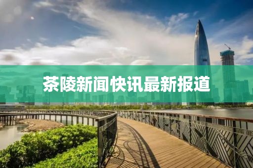 茶陵新聞快訊最新報道