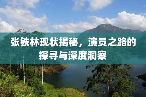 張鐵林現(xiàn)狀揭秘，演員之路的探尋與深度洞察