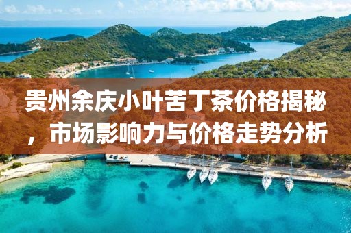 貴州余慶小葉苦丁茶價格揭秘，市場影響力與價格走勢分析