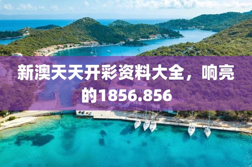 新澳天天開彩資料大全，響亮的1856.856