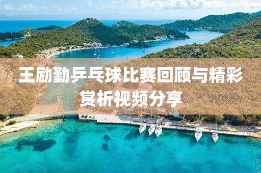 王勵勤乒乓球比賽回顧與精彩賞析視頻分享