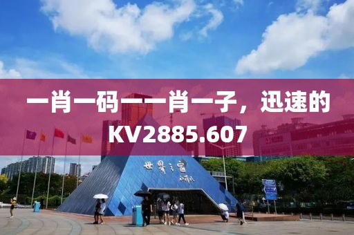 一肖一碼一一肖一子，迅速的KV2885.607