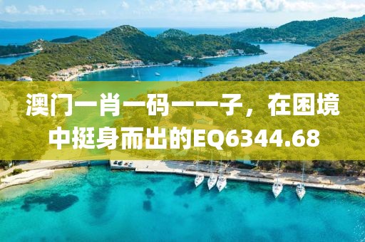 澳門一肖一碼一一子，在困境中挺身而出的EQ6344.68