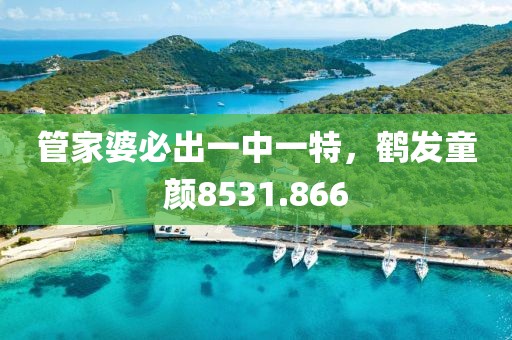 管家婆必出一中一特，鶴發(fā)童顏8531.866