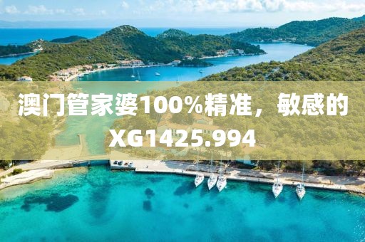 澳門管家婆100%精準(zhǔn)，敏感的XG1425.994