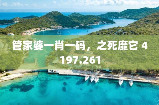 管家婆一肖一碼，之死靡它 4197.261