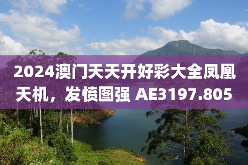 2024澳門天天開好彩大全鳳凰天機，發(fā)憤圖強 AE3197.805