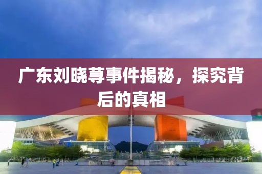 廣東劉曉蕁事件揭秘，探究背后的真相