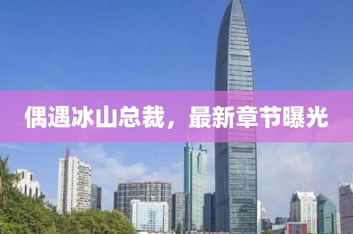 偶遇冰山總裁，最新章節(jié)曝光