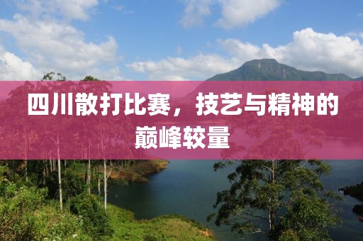 四川散打比賽，技藝與精神的巔峰較量