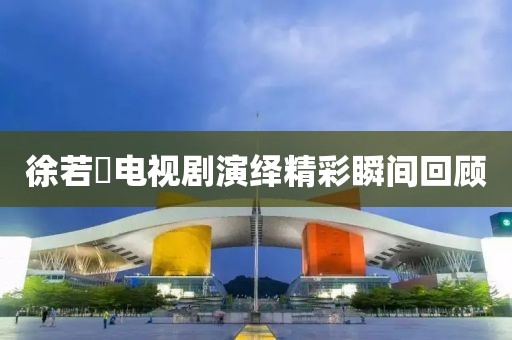 徐若瑄電視劇演繹精彩瞬間回顧