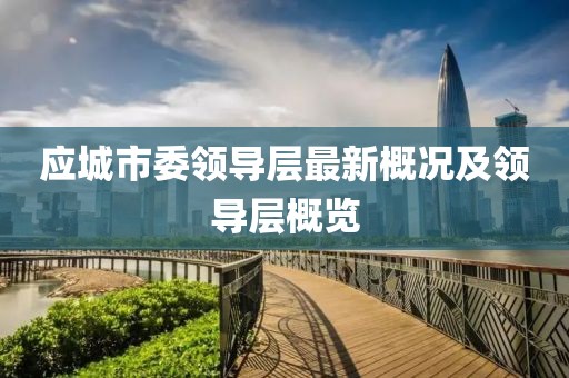 應(yīng)城市委領(lǐng)導(dǎo)層最新概況及領(lǐng)導(dǎo)層概覽