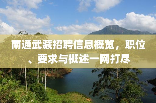 南通武藏招聘信息概覽，職位、要求與概述一網(wǎng)打盡