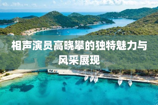 相聲演員高曉攀的獨(dú)特魅力與風(fēng)采展現(xiàn)
