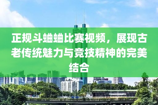 正規(guī)斗蛐蛐比賽視頻，展現(xiàn)古老傳統(tǒng)魅力與競技精神的完美結(jié)合