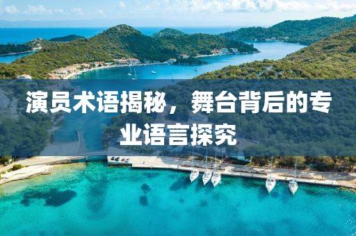 演員術語揭秘，舞臺背后的專業(yè)語言探究