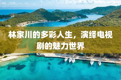 林家川的多彩人生，演繹電視劇的魅力世界