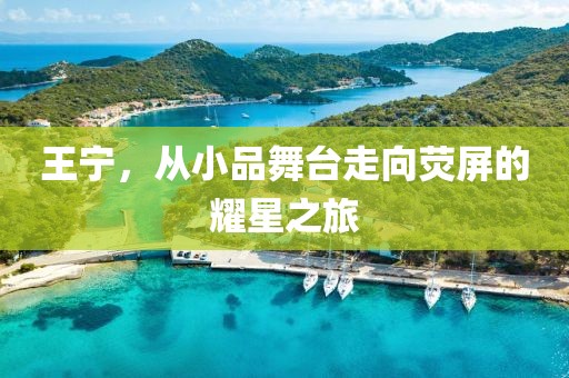 王寧，從小品舞臺走向熒屏的耀星之旅