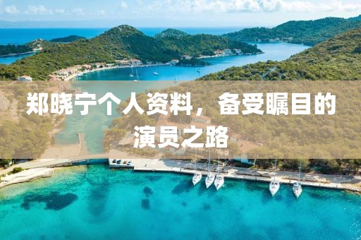 鄭曉寧個(gè)人資料，備受矚目的演員之路