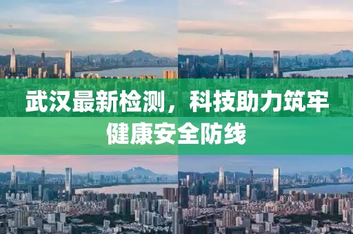 武漢最新檢測，科技助力筑牢健康安全防線