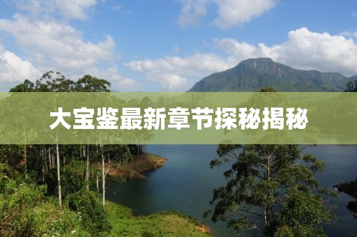 大寶鑒最新章節(jié)探秘揭秘