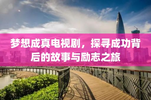 夢(mèng)想成真電視劇，探尋成功背后的故事與勵(lì)志之旅
