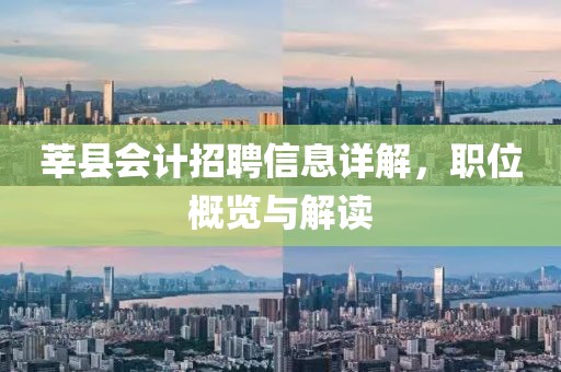 莘縣會計招聘信息詳解，職位概覽與解讀