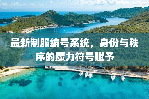 最新制服編號(hào)系統(tǒng)，身份與秩序的魔力符號(hào)賦予