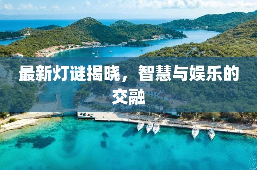 最新燈謎揭曉，智慧與娛樂的交融