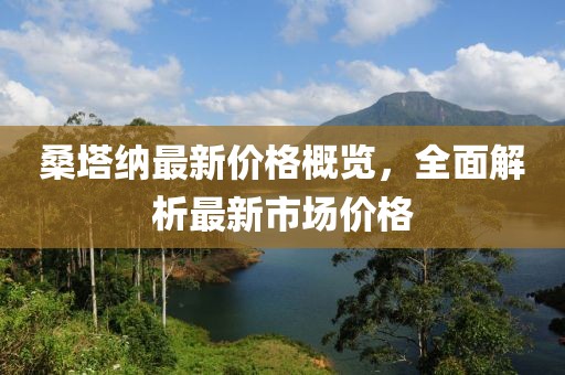 桑塔納最新價格概覽，全面解析最新市場價格