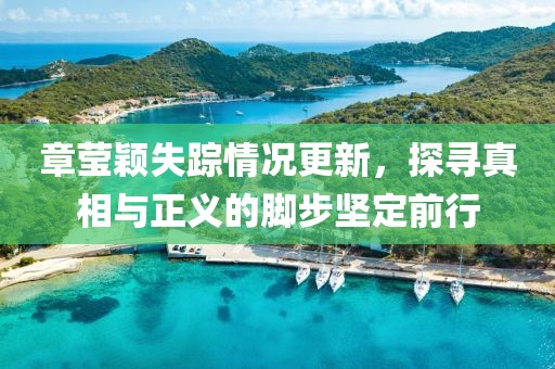 章瑩穎失蹤情況更新，探尋真相與正義的腳步堅(jiān)定前行