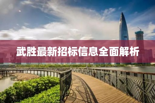 武勝最新招標(biāo)信息全面解析