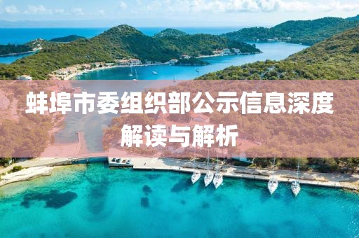 蚌埠市委組織部公示信息深度解讀與解析