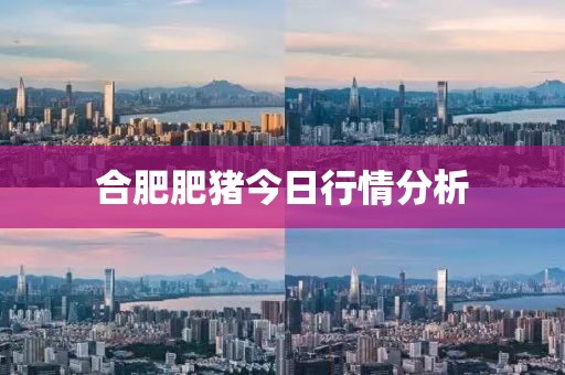 合肥肥豬今日行情分析