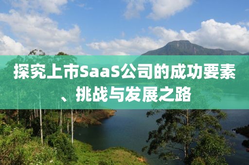 探究上市SaaS公司的成功要素、挑戰(zhàn)與發(fā)展之路