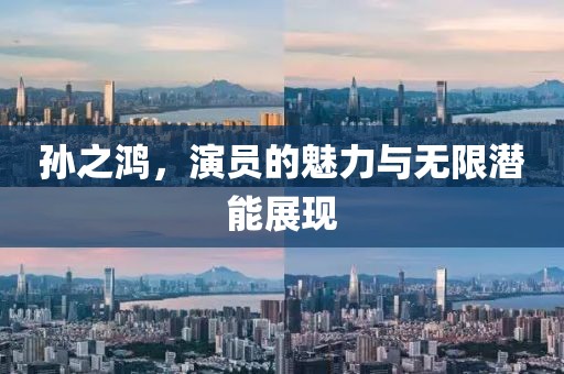 孫之鴻，演員的魅力與無限潛能展現(xiàn)