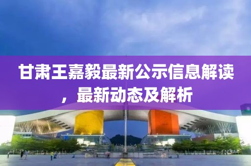 甘肅王嘉毅最新公示信息解讀，最新動(dòng)態(tài)及解析