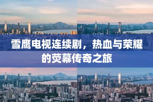 雪鷹電視連續(xù)劇，熱血與榮耀的熒幕傳奇之旅