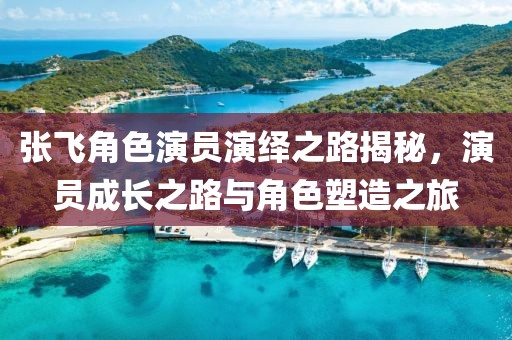 張飛角色演員演繹之路揭秘，演員成長(zhǎng)之路與角色塑造之旅