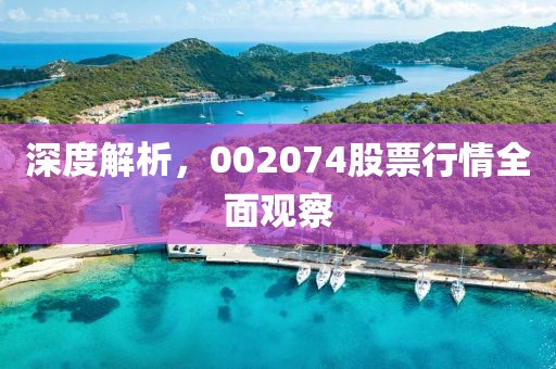 深度解析，002074股票行情全面觀察