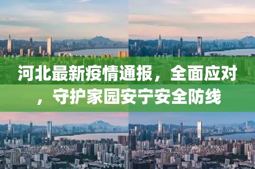 河北最新疫情通報，全面應(yīng)對，守護家園安寧安全防線