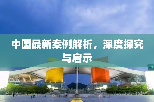 中國最新案例解析，深度探究與啟示