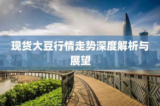 現(xiàn)貨大豆行情走勢深度解析與展望