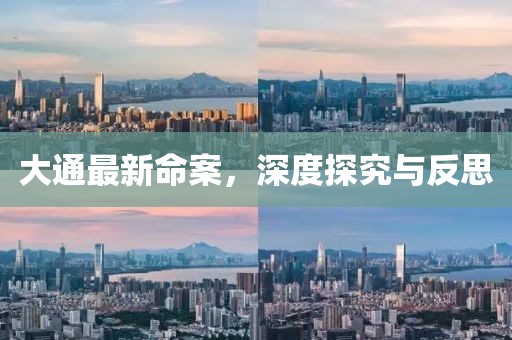 大通最新命案，深度探究與反思