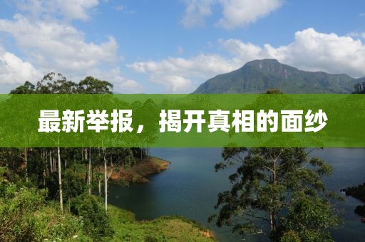 最新舉報，揭開真相的面紗