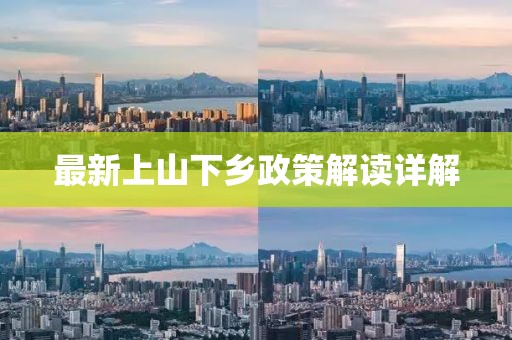 最新上山下鄉(xiāng)政策解讀詳解