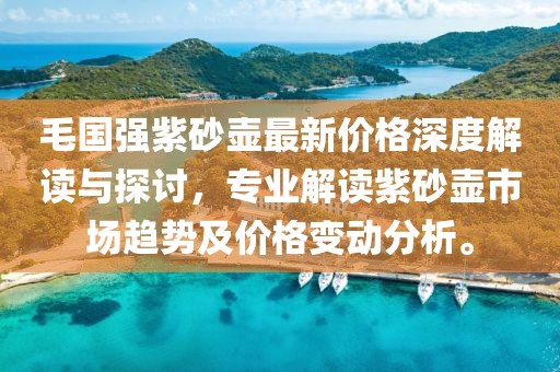 毛國強(qiáng)紫砂壺最新價格深度解讀與探討，專業(yè)解讀紫砂壺市場趨勢及價格變動分析。