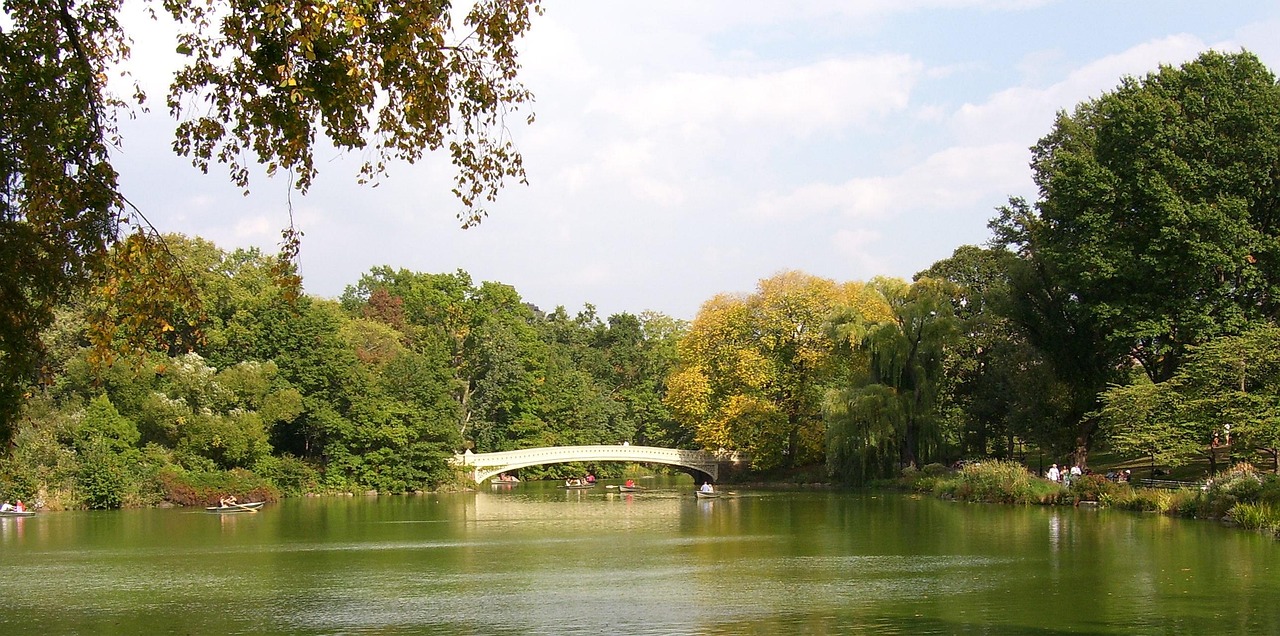 賈汪中央公園房價(jià)行情深度解析