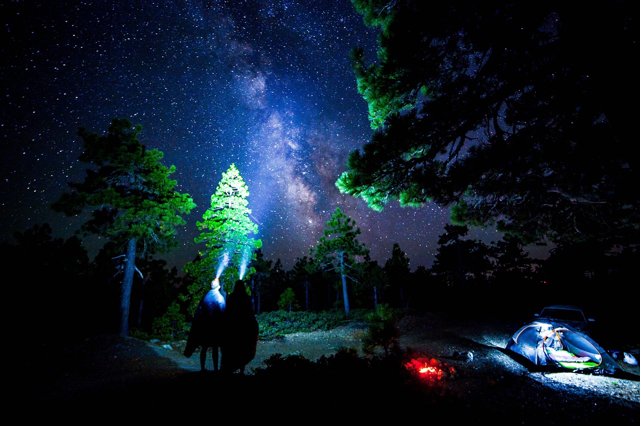 璀璨文體明星，照亮文化天空的星辰之光