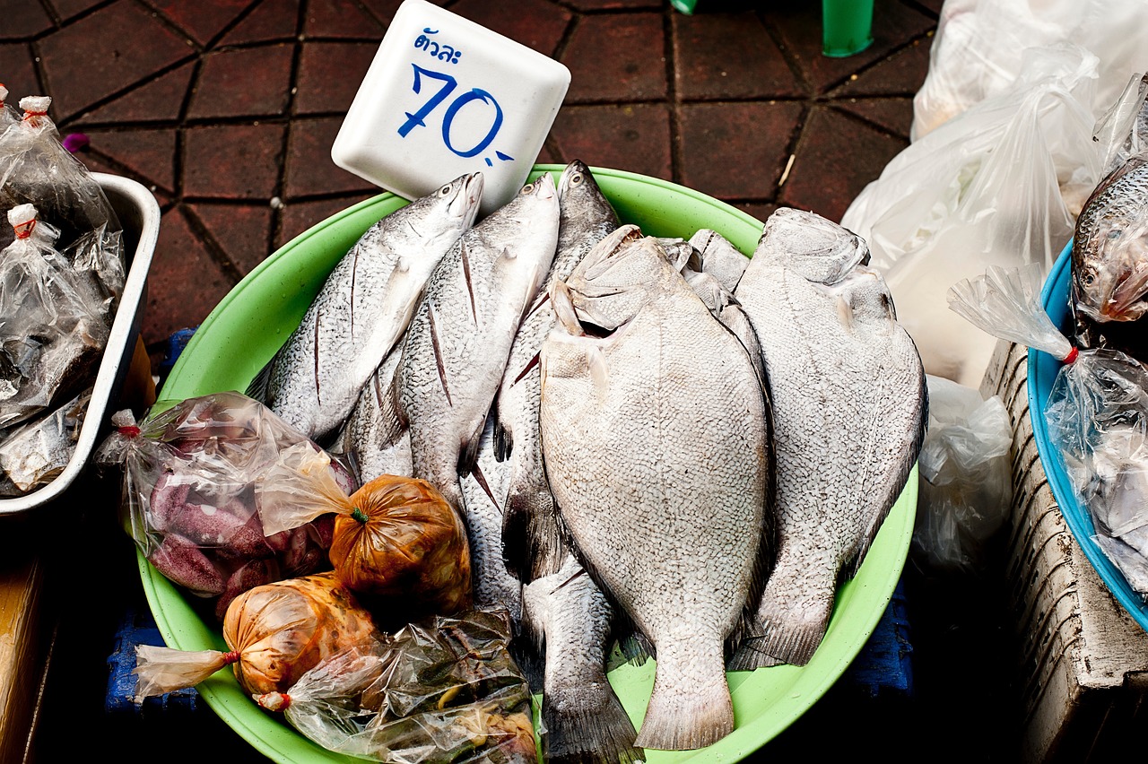 白鮰魚價(jià)格分析，市場(chǎng)走勢(shì)與影響因素探討